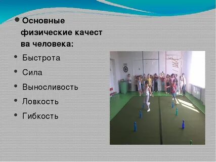Воспитание физических качеств силы быстроты ловкости выносливости