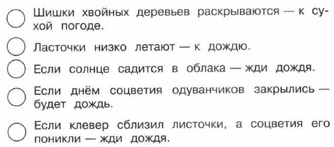 Хвойных деревьев раскрываются примета. Приметышишки хвойныйны деревьев раскрываются. шишки хвойных деревьев раскрываются примета. шишки заойныз леревтев раскрываются при. примета если шишки хвойных деревьев раскрываются.