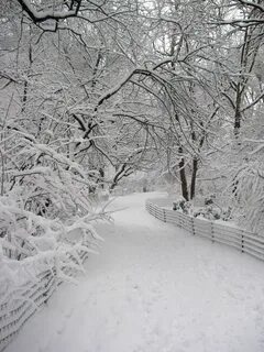 Snow good