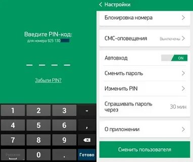 Пин мегафона