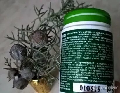 Вечерний хмель
