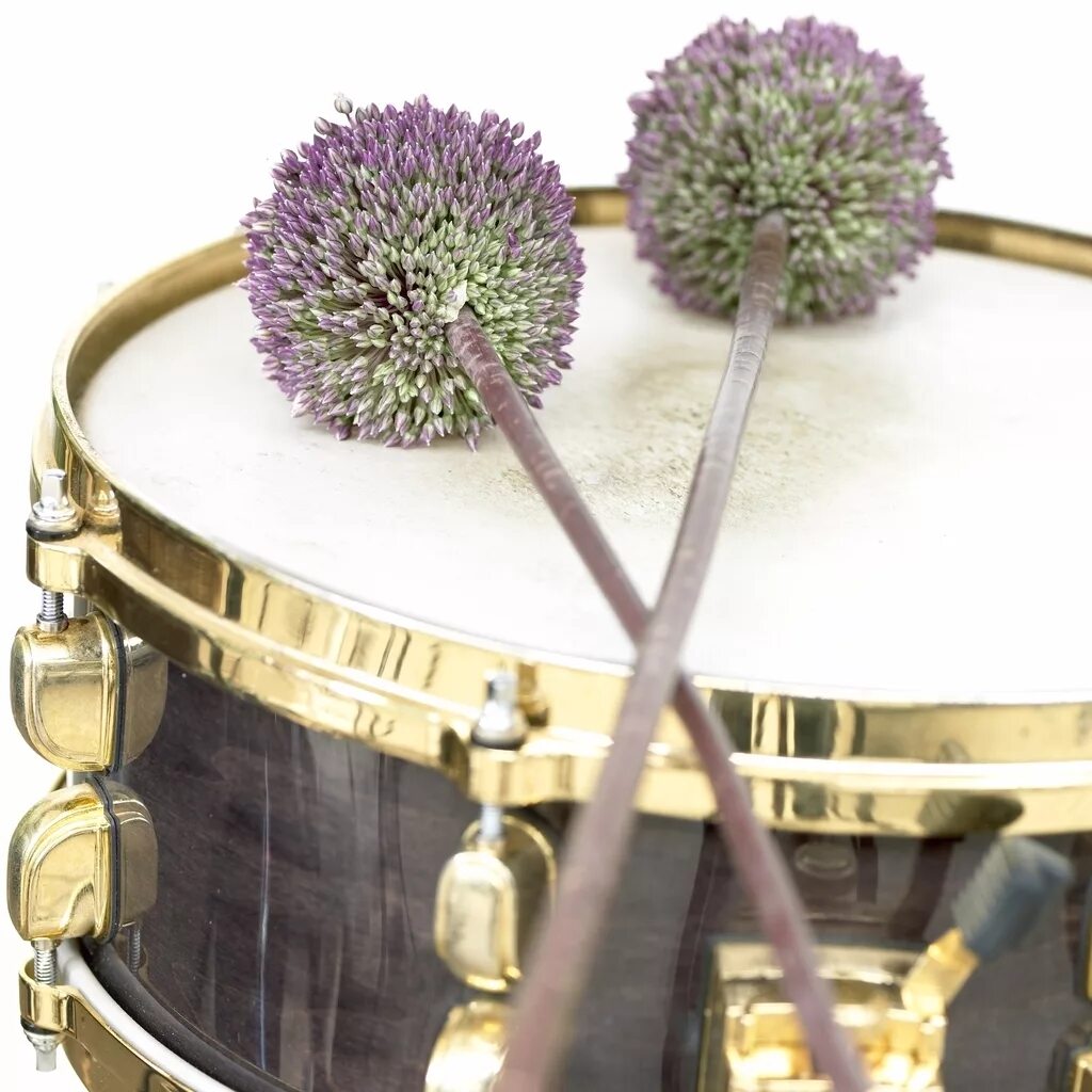 Шеннон лето. Andrew drum. Барабанщик арты. Summer drum. Summer drummer аллиум.