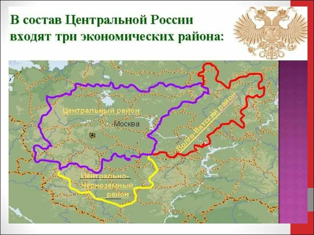 Площадь центрального района рф. Центральный Центрально Черноземный и Волго Вятский район. Центрально Черноземнй Центральный и Волго Вяткский о района России. Экономический центр Волго Вятского экономического района. Волго-Вятский район на карте центральной России.