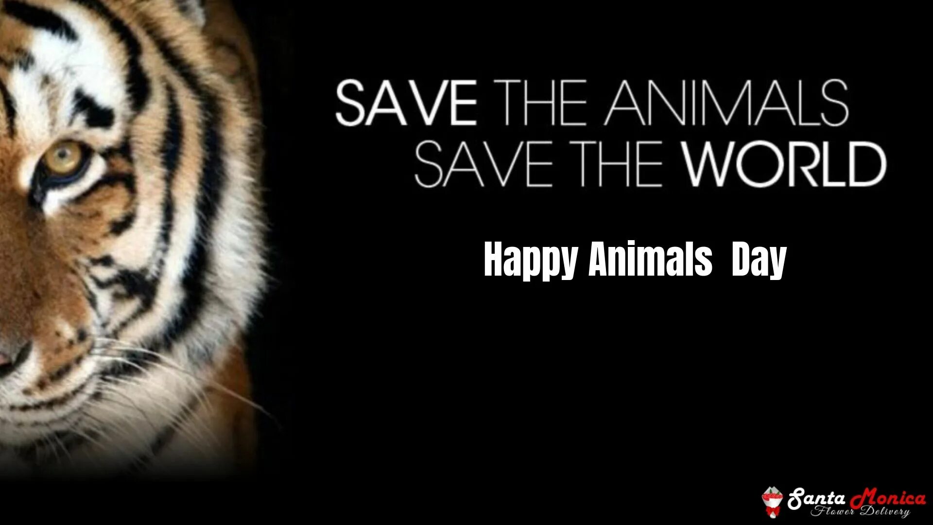 Save animals. Save the world животные. save wild animals. save our animals.