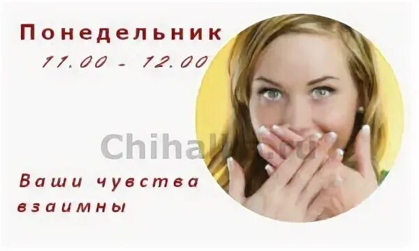 Чихалка четверг по времени. Чихалка понедельник. Чихалка четверг по времени. Чихалка понедельник 21 22. Чихалка понедельник 21 22.