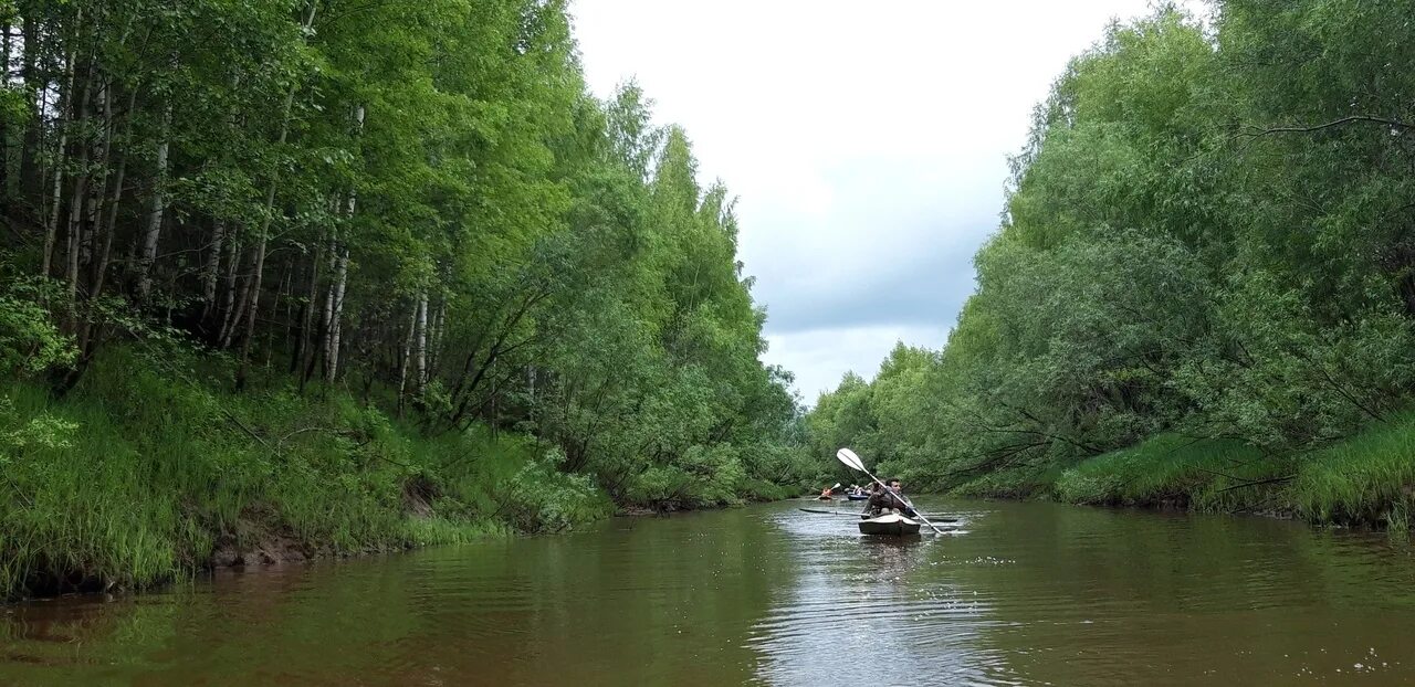 Река в сыктывкаре