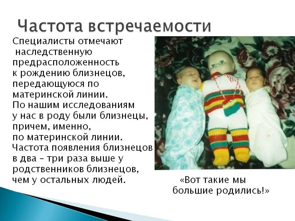 По какой линии передается двойня. Предрасположенность к рождению близнецов. двойня генетическая предрасположенность. предрасположенность к рождению двойни. частота рождения близнецов.