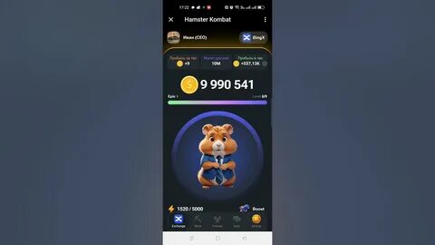 Секретный уровень hamster combat