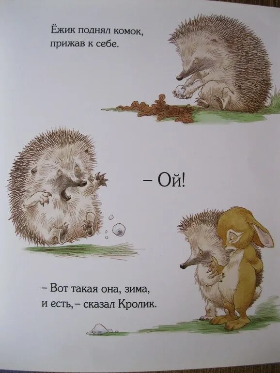 Берегите ежиков