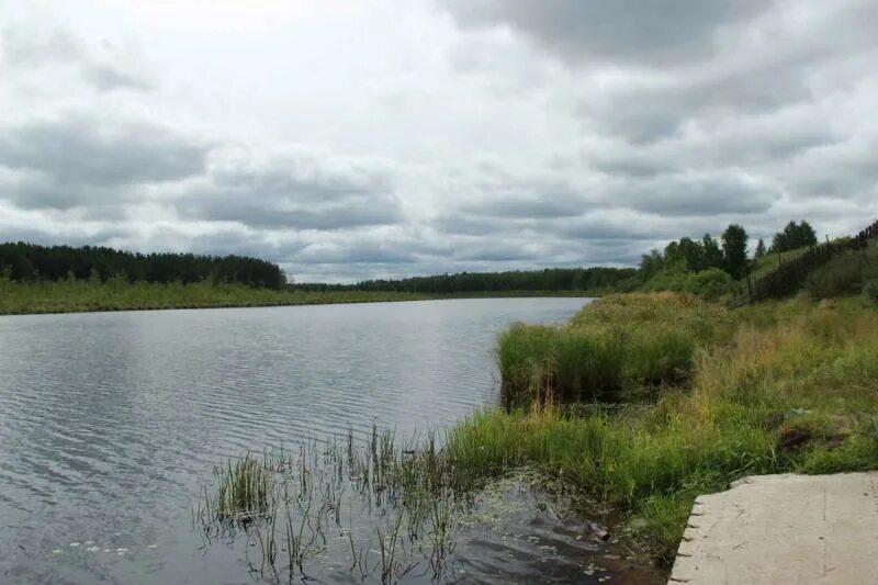 Погода в минаевке асиновский район