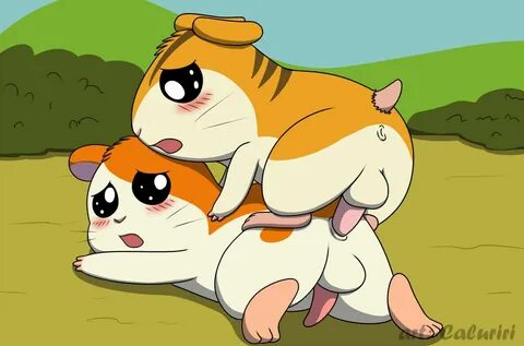Hamtaro rule 34 - hamtaro (series), 2019, hi res, simple background, bijou ...