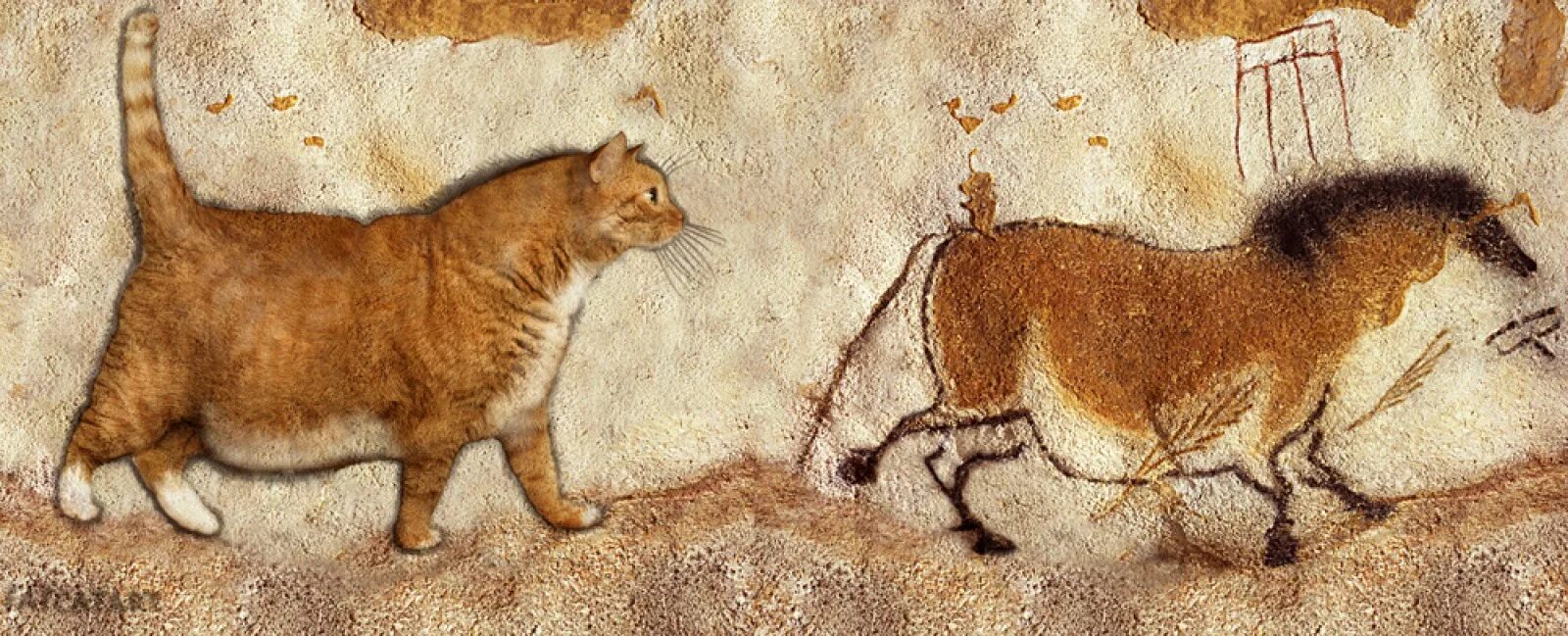Включи кота пещеру. Пещера Ласко кошки. Наскальные фрески древний Рим. Пещера Ласко наскальные рисунки. Кошки и Египет Наскальная живопись.