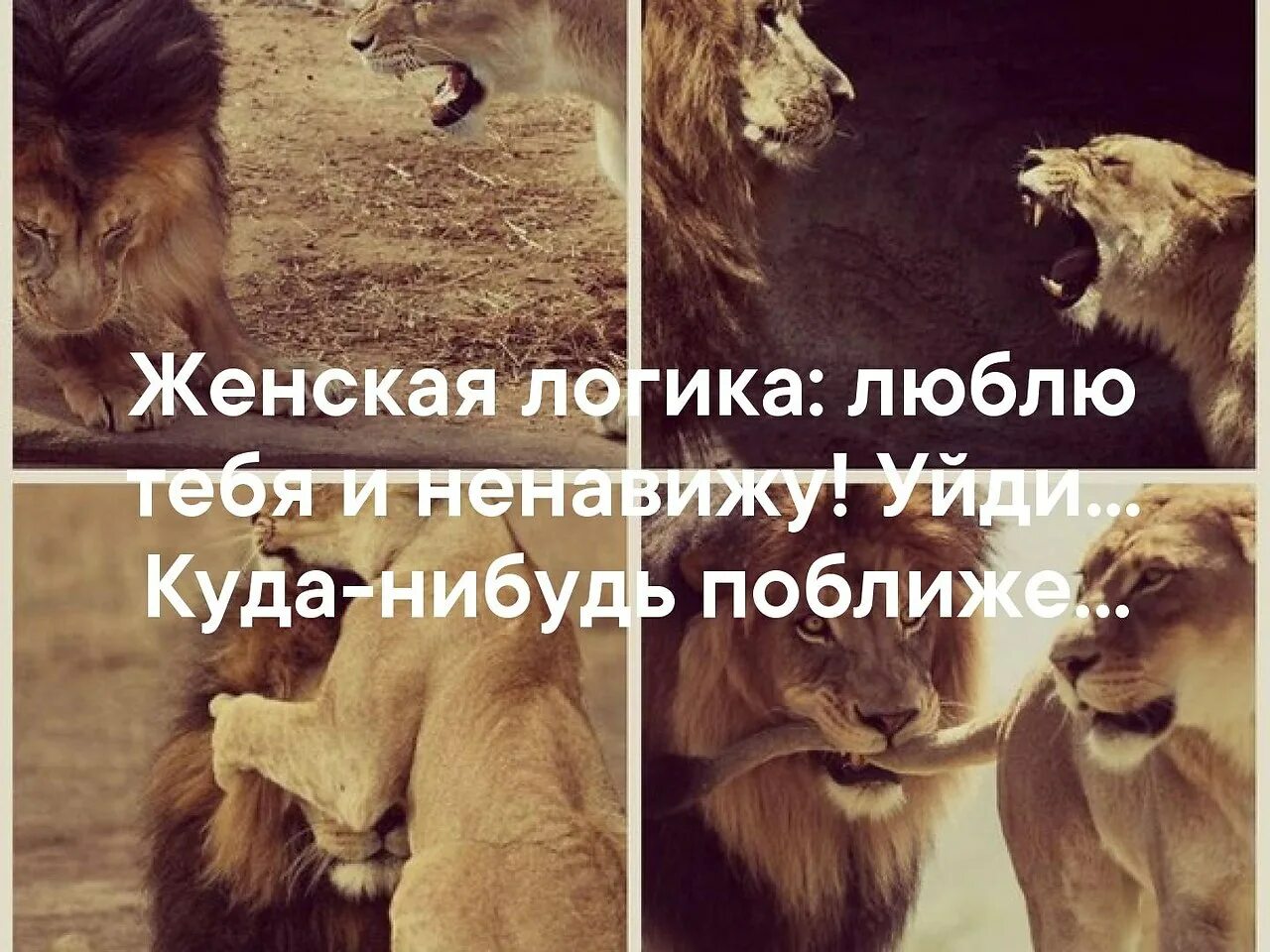 Есть что нибудь поближе. Женская логика цитаты. люблю тебя и ненавижу уйди куда-нибудь поближе. женская логика карикатура. женская логика приколы.