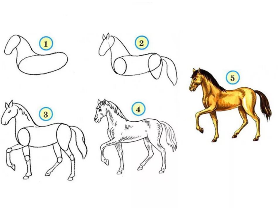Лошадка для рисования. Лошадка рисунок. Нарисовать лошадь. Поэтапное рисование лошади. Лошадка рисование для детей.