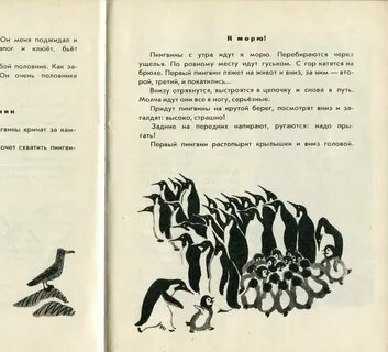 Текст рассказа г снегирева про пингвинов