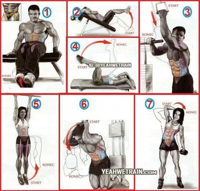 План тренировок в тренажерном зале. Упражнения на пресв зале. Суперсет на пресс для мужчин в зале. Упражнения для мышц пресса для мужчин в тренажерном зале. Таблица тренировок в тренажерном зале для женщин для похудения.