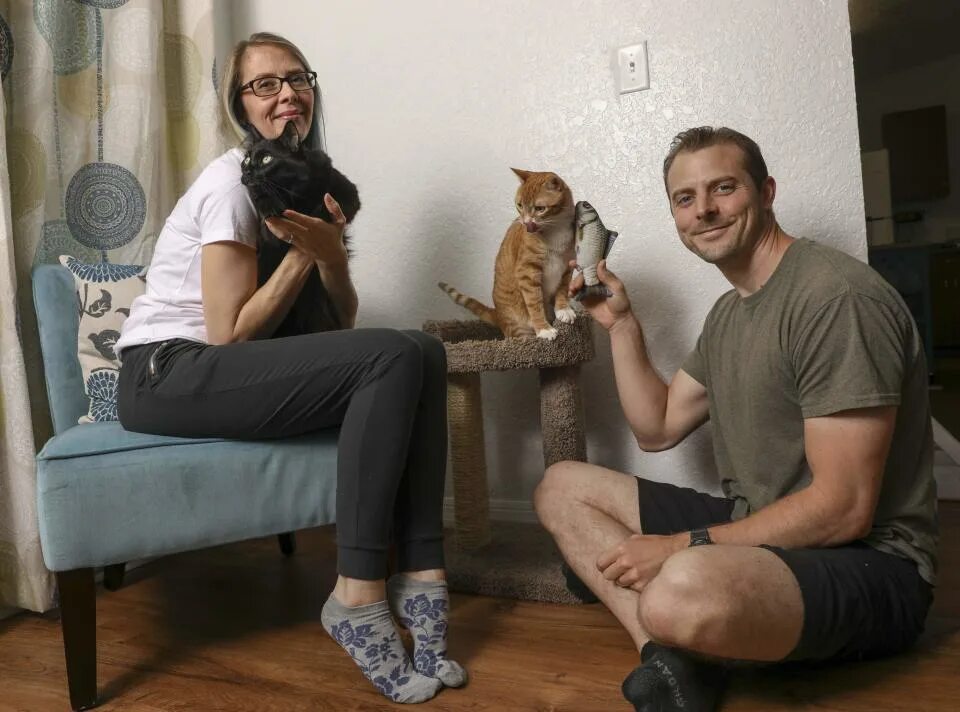 Моррисси фото. Фильм девять жизней 2016 /nine lives. Иосиф бродский. Кошки узнают людей. Моррисси с котом.