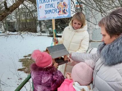 Акция покормите птиц зимой 2024