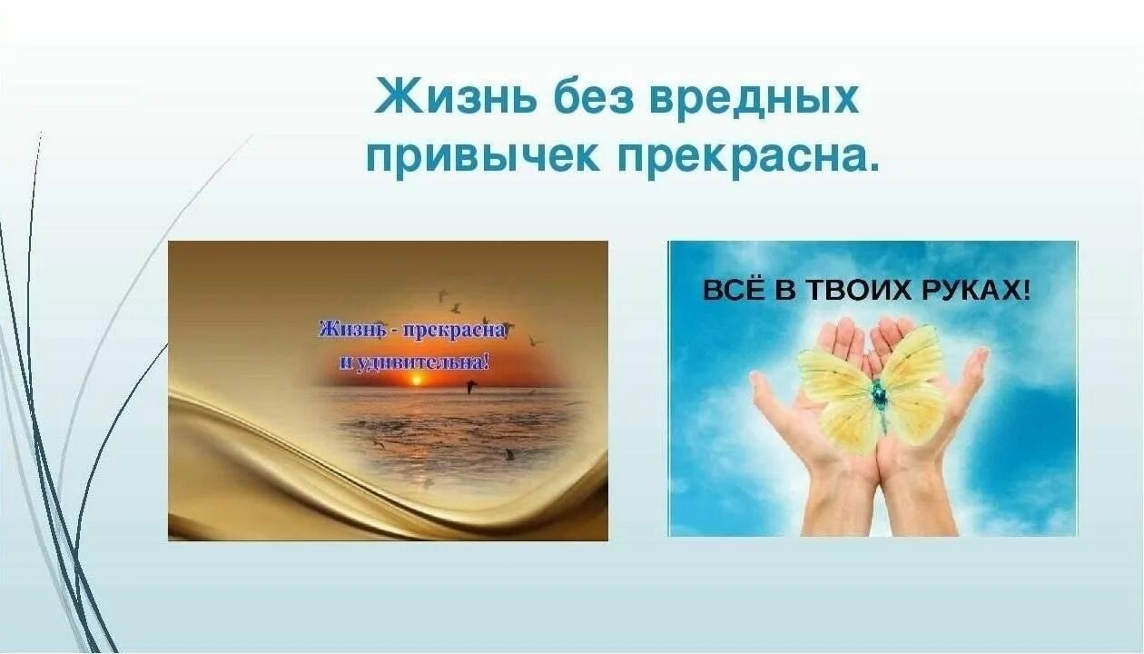 Жизнь без формы. Жизнь прекрасна без вредных привычек. счастливая жизнь без вредных привычек. мир прекрасен без вредных привычек. жизнь без вредных привычек для детей.