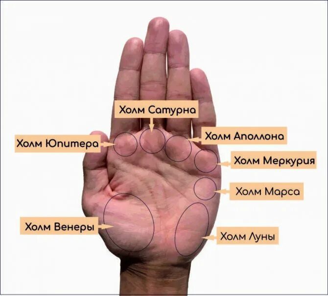Холм меркурия на руке. Хиромантия знаки на холме меркурий. Линия брака на руке. Холмы на ладони хиромантия. Холм меркурия хиромантия.
