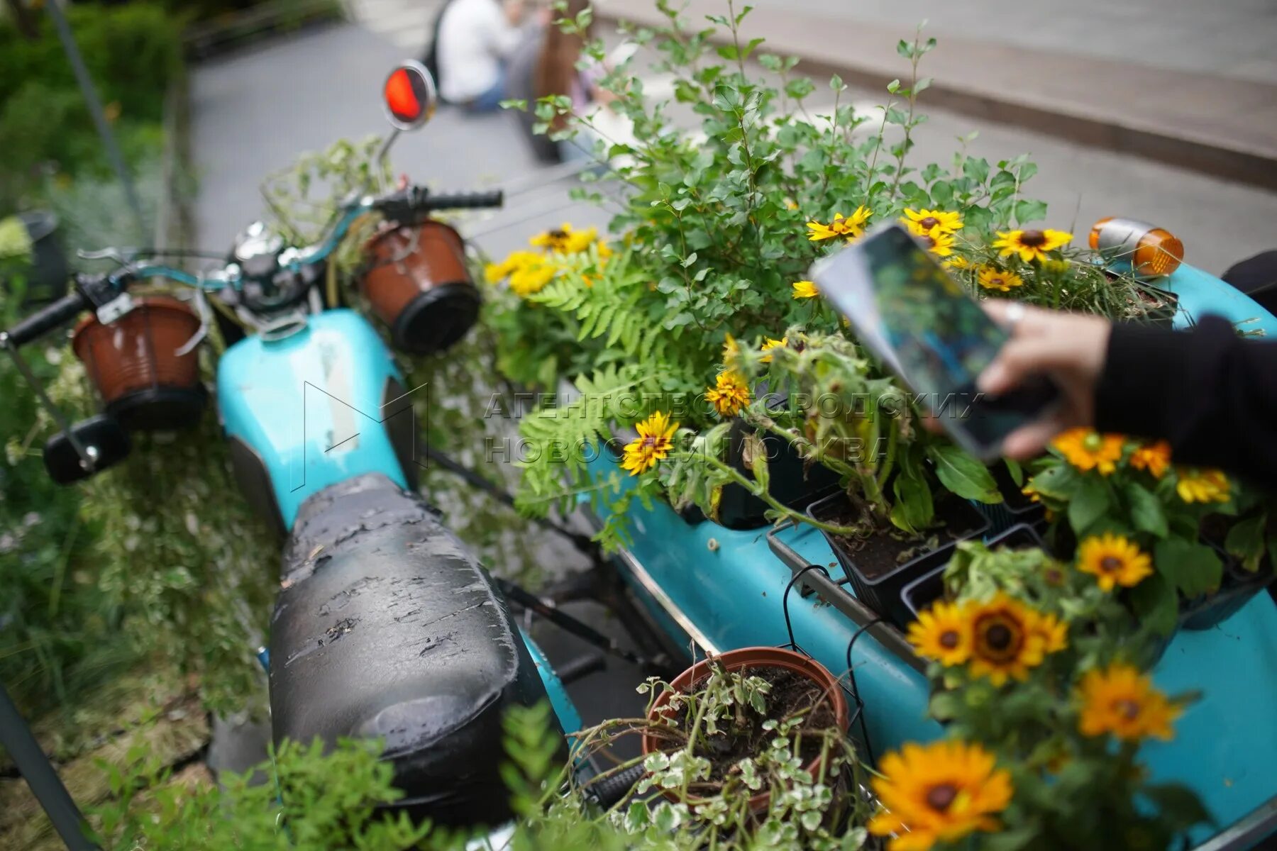 Фестиваль цветочный джем 2024. Лето в москве 2024 фестиваль площадки. Фестиваль цветочный джем. Площадь революции пасхальный фестиваль. Цветочный джем тверской бульвар.