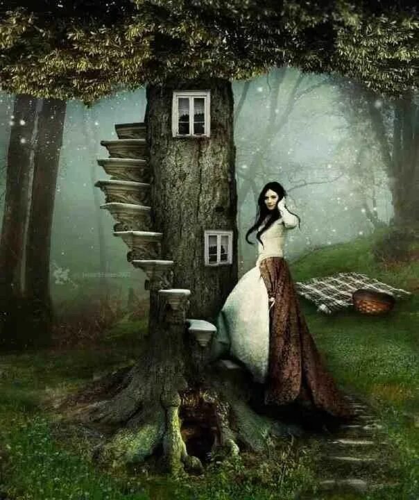 Fairy tales call. Золушка братья гримм оригинал. Французские сказки иллюстрации. Волшебный лес. Алиса зенескоп.