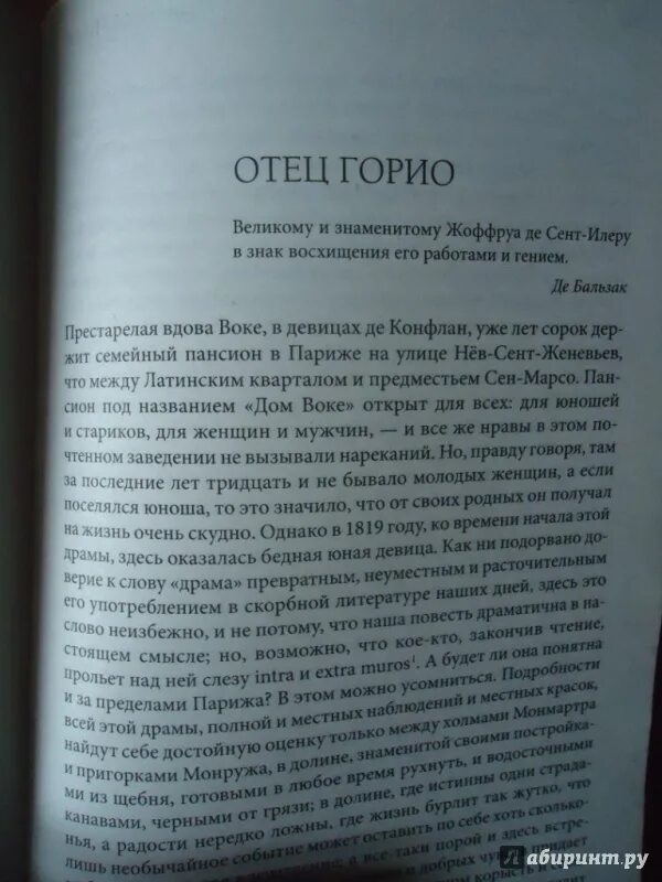 Отец горио содержание. Отец горио содержание