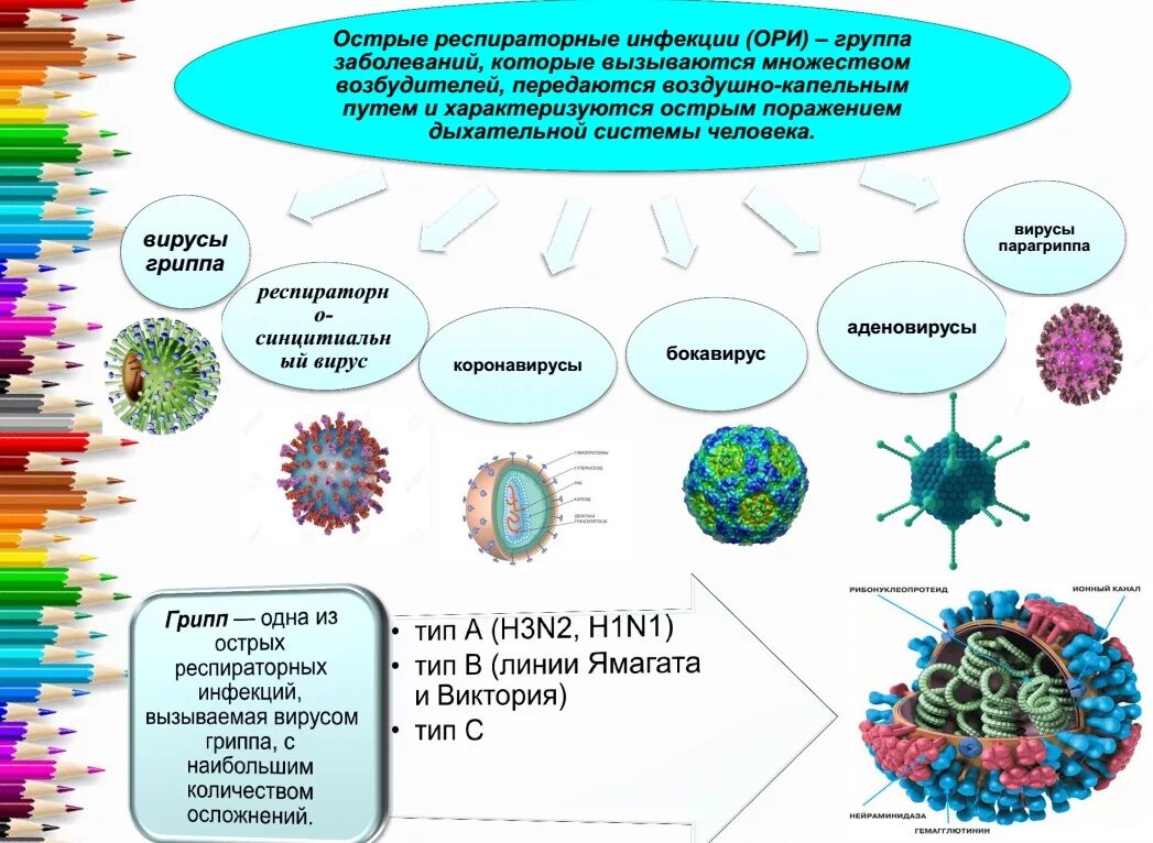 Вирусные инфекции передающиеся воздушно-капельным путем. Какие заболевания передаются воздушно-капельным путем. Профилактика вирусных инфекционных заболеваний. Воздушно капельным передаются вирусы. Какие возбудители гриппа