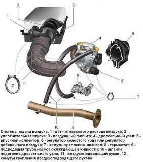 Воздушная система калины