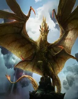 Old dragons