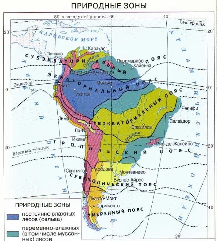Карта природных зон Южной Америки. Карта природных зон Южной Америки 7 класс география. Карта природныхзон юной Америки. Карта природных зон Южной Америки со странами. Большую часть северной америки занимает природная зона