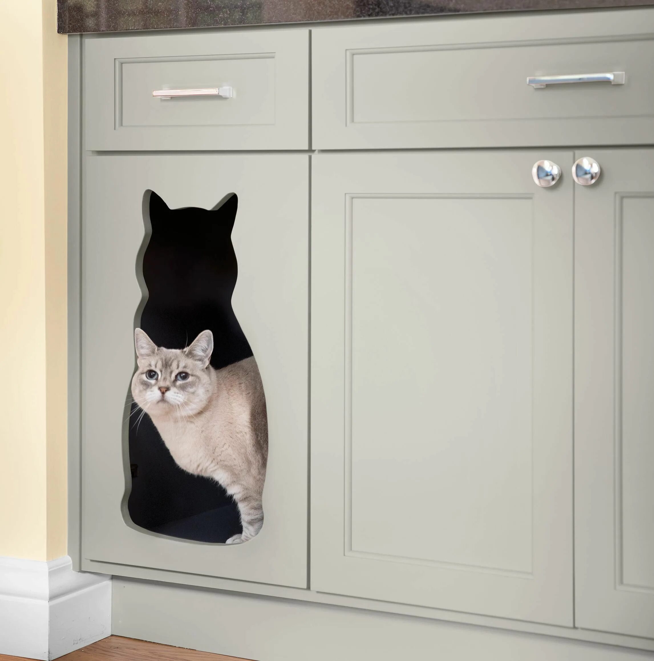 Cats kitchen. Дверь для кошки. Дверца для кота. Место для кошки на кухне. Двери для котов в туалет.