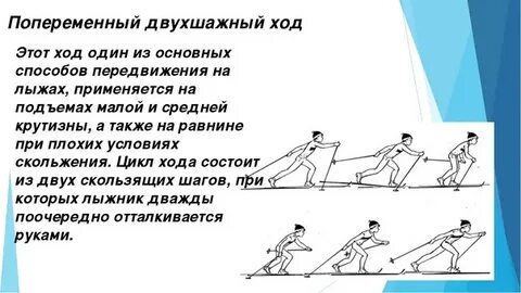 Лыжные ходы реферат по физкультуре