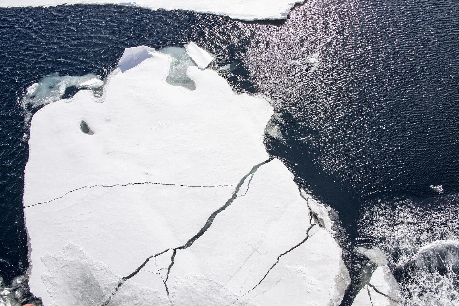 Свободный ото льда участок антарктиды. Ледяной Покров Антарктиды. Ледяной Покров Арктики. Таяние ледников Антарктиды 1979-2020. Во льдах Арктики.