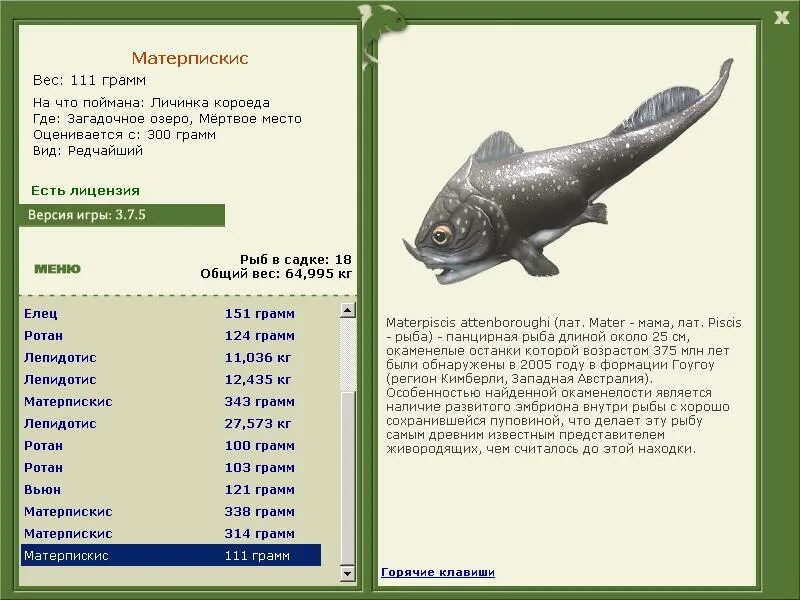 Мама рыба ребенок рыба. Русская рыбалка 3.6 загадочное озеро. Русская рыбалка 3 7 6 загадочное озеро. Русская рыбалка 3 7 4 загадочное озеро. Русская рыбалка 3 7 4 загадочное озеро ботриолепис.