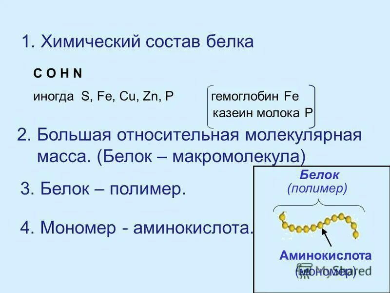 В составе белков имеются