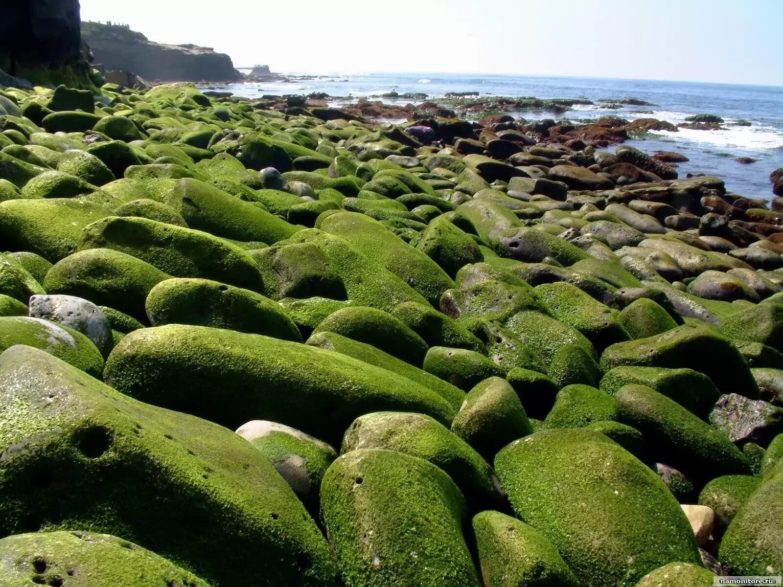 X natural. Зеленое море. Зеленые камни на море. Зеленые. Зеленое побережье.