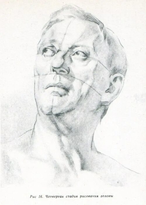 Натура головы. Академический рисунок головы натурщика. голова натурщика рисунок. зарисовка головы натурщика. натура головы для рисования.