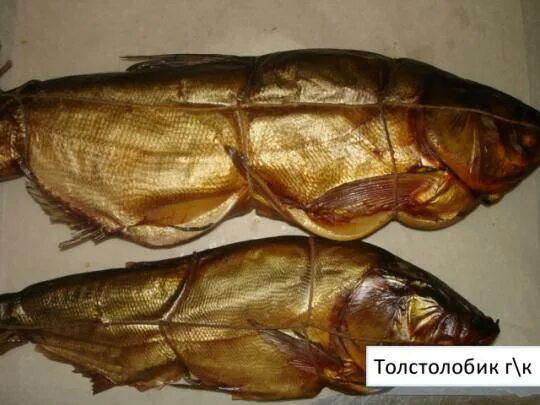 Толстолоб копченый холодного копчения. Толстолоб балык пласт. Копчение толстолобика. Копчение толстолобика. Толстолобик балык.