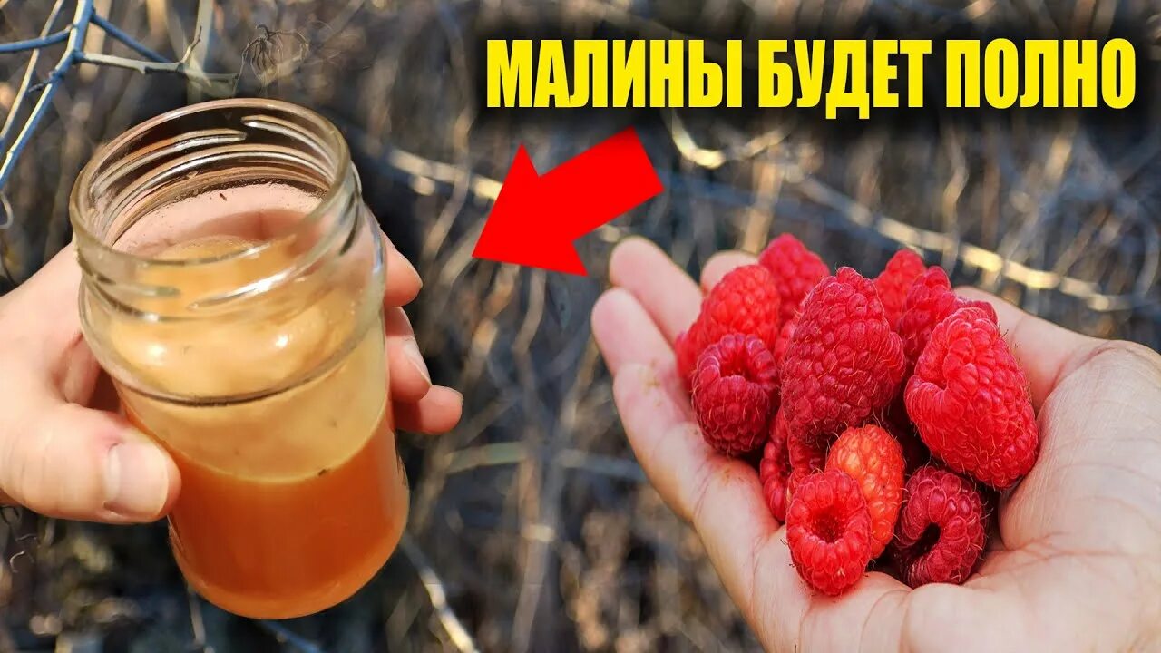 А как ее собирать