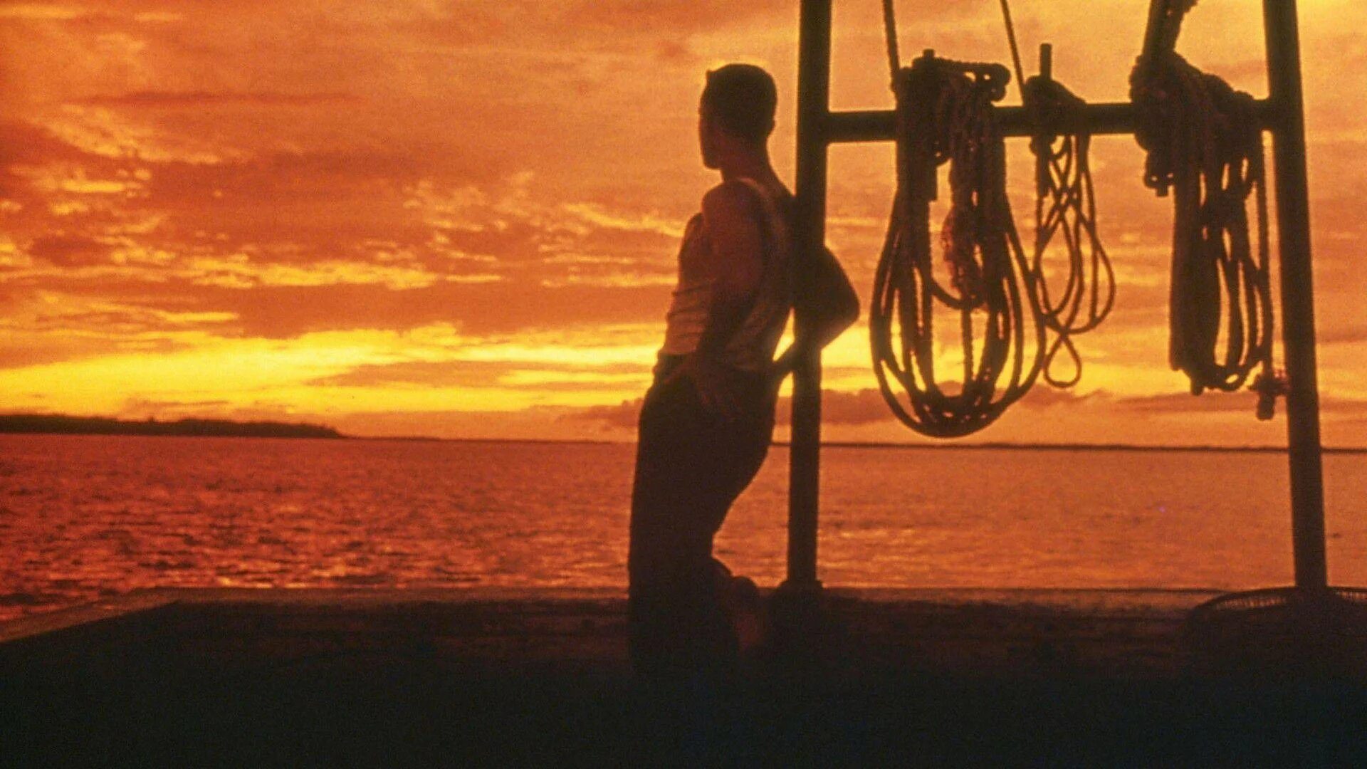 Форест см. Форрест гамп (1994). форрест гамп обои. бегун форест.