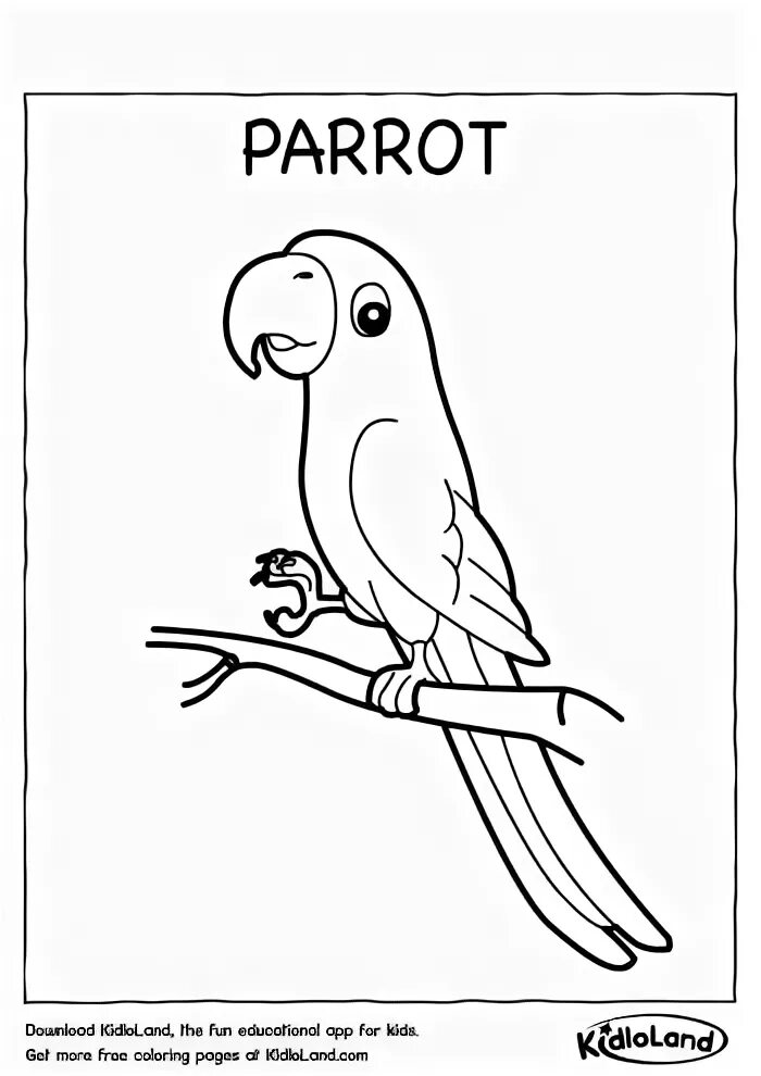 Parrot раскраска. �� раскраска Parakeet. Попугай раскраска для детей 6-7 лет. Попугай по английскому.