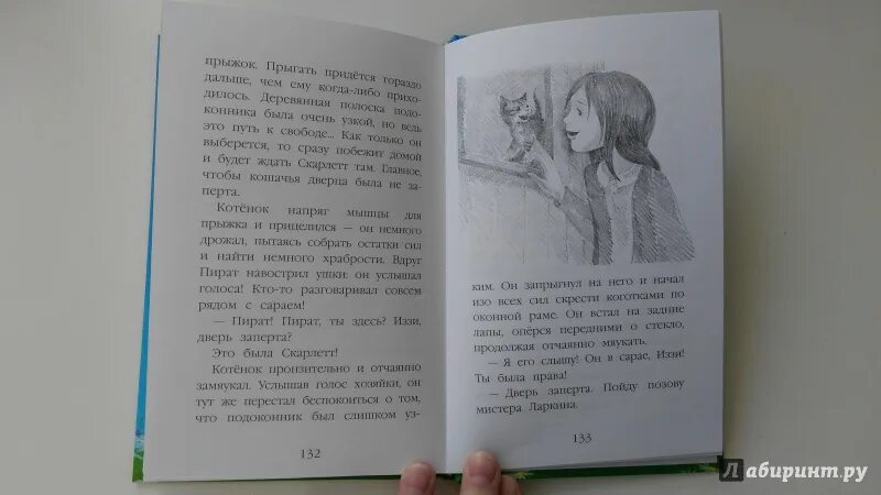 Котенок фиалка или коробка с сюрпризом. Котенок фиалка или коробка с сюрпризом