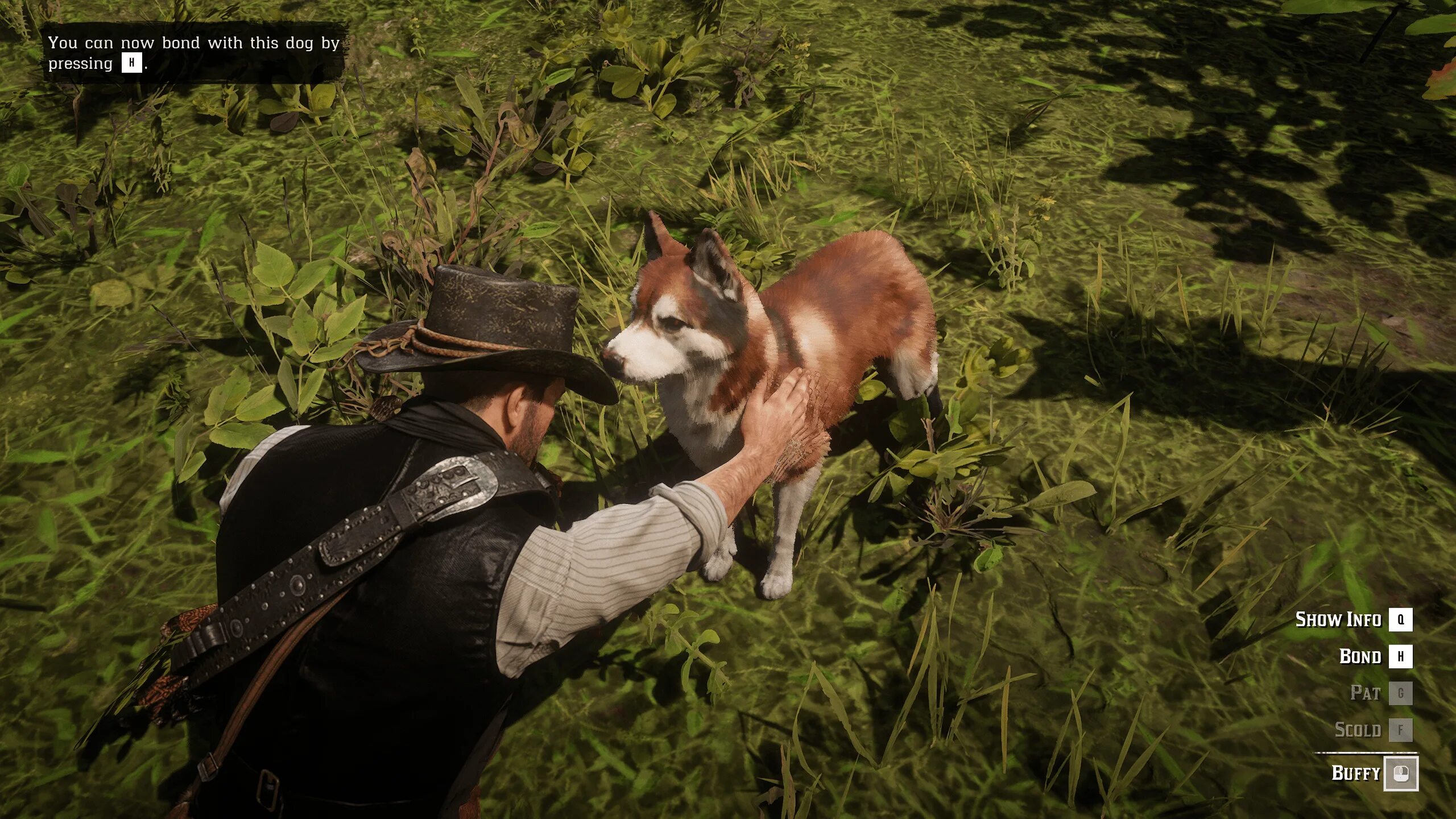 Red Dead Redemption 2 Dog. Red Dead Redemption 2 собаки. Red Dead Redemption 2 Companion. РДР мод на собаку.