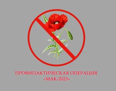 Операция мак