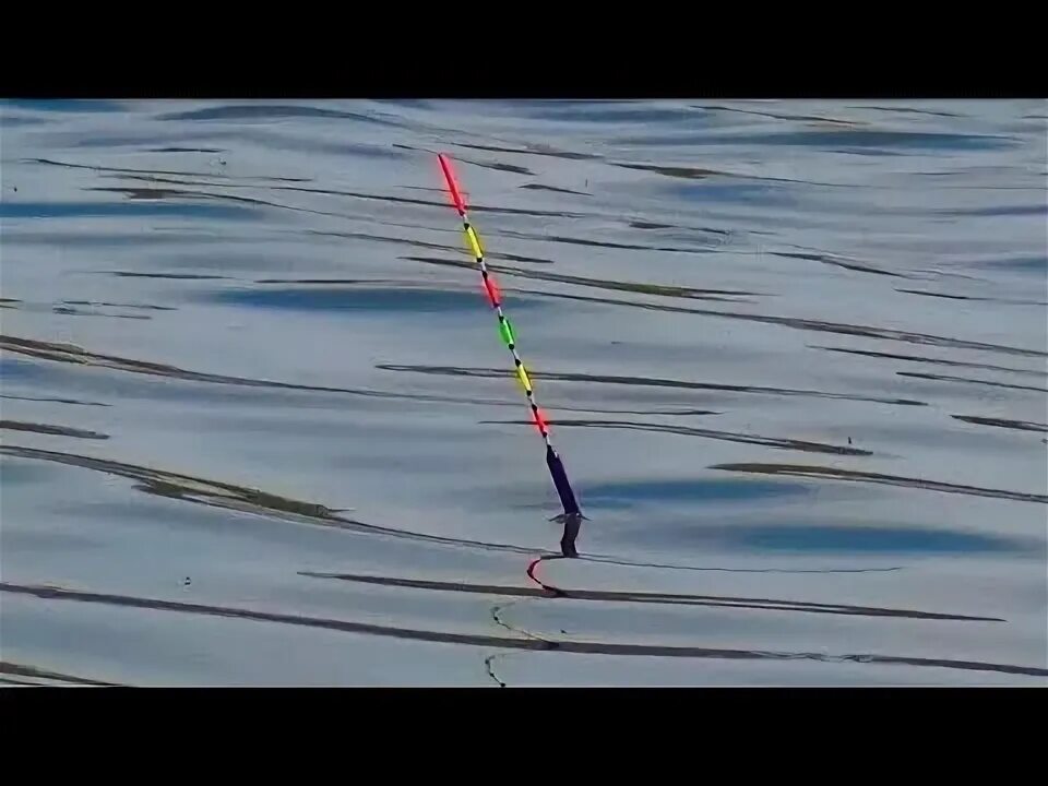 Линь на удочку. Удочка на карася. Карась. Ловля карася. Бешеный карась.