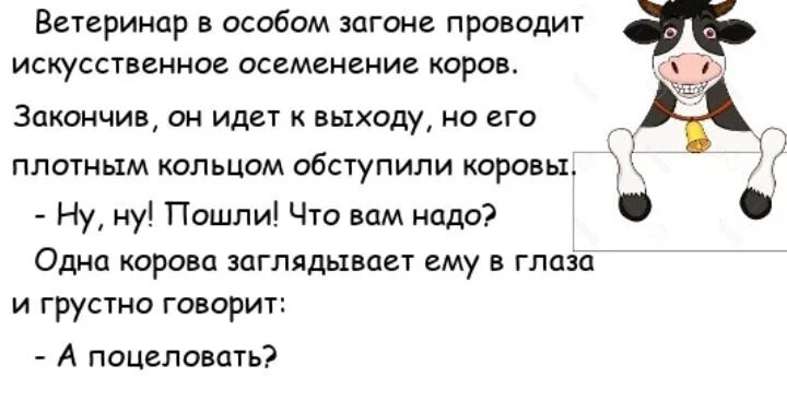 Анекдот про корову. Шутки про коров. А поговорить анекдот. Анекдоты про корову смешные. Анекдоты ветеринара