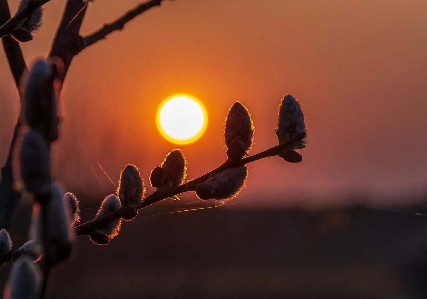 профессиональные пейзажи. рассвет весной. весенний закат. ранняя весна вечер. природа вечер.