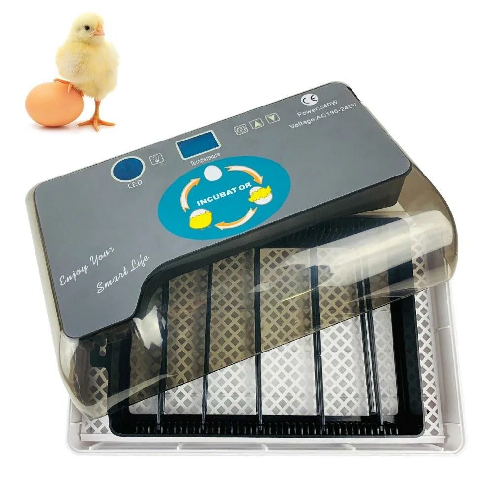 Инкубатор на 12 яиц HHD. Mini Egg incubator на 12 яиц. Инкубатор HHD 12, мини с овоскопом и автоматическим пере. HHD 12 Eggs электрическая.