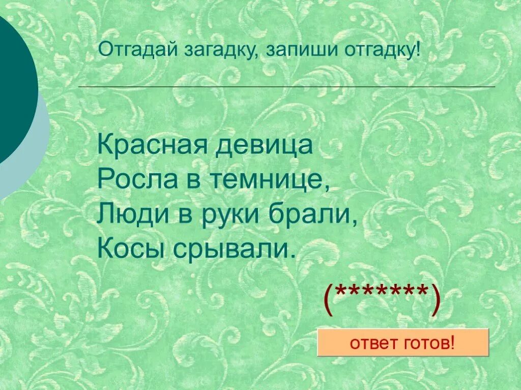 Загадка в темнице. Красная девица росла в темнице люди в руки брали косы. красная девица росла в темнице люди в руки брали косы рвали. красная девица росла в темнице люди брали косы рвали ответ на загадку.